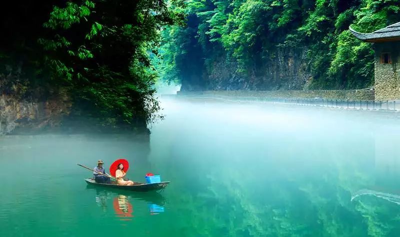 恩施富硒茶私人定制(恩施富硒茶企业)-硒宝网