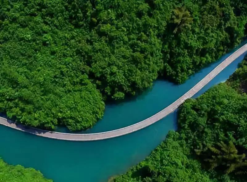 恩施富硒茶私人定制(恩施富硒茶企业)-硒宝网