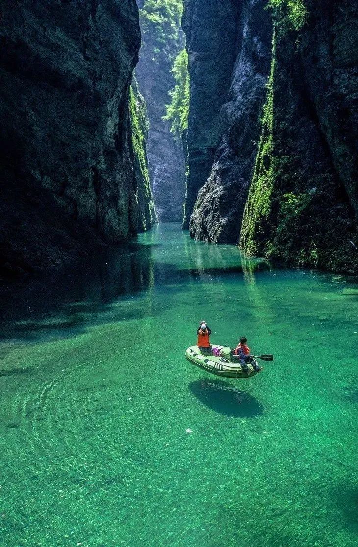 恩施富硒茶私人定制(恩施富硒茶企业)-硒宝网