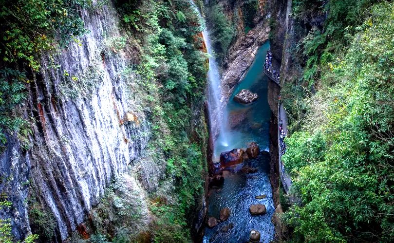 恩施富硒茶私人定制(恩施富硒茶企业)-硒宝网
