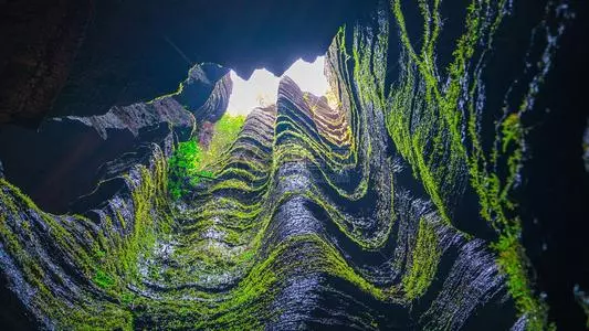 恩施富硒茶私人定制(恩施富硒茶企业)-硒宝网