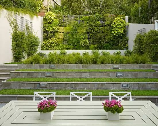 受欢迎的富硒茶地址（茶乡欢迎你）-硒宝网