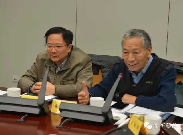 富硒藤茶有什么功效(富硒藤茶是传销吗)-硒宝网