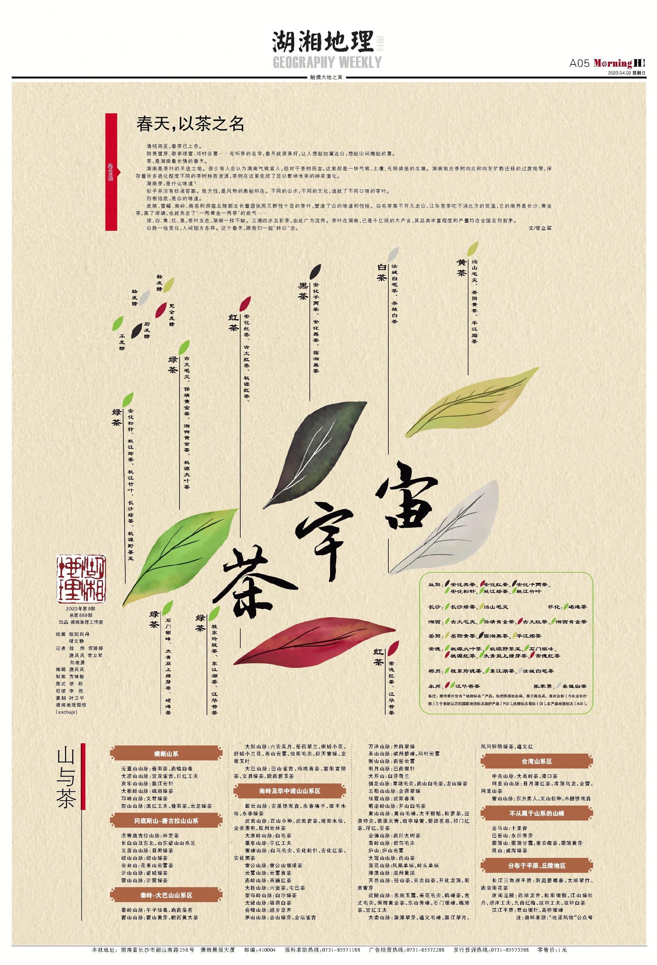 陇南的富硒茶是什么（武阳富硒茶）-硒宝网