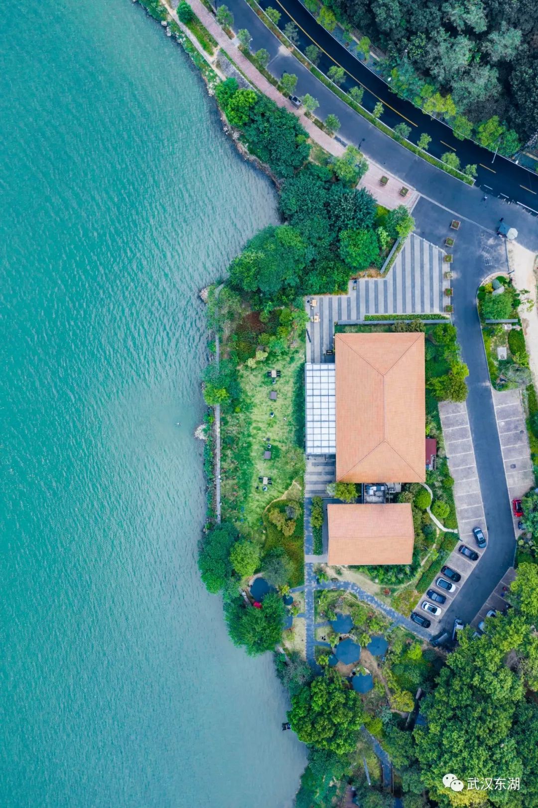 石台富硒茶如何泡制（石台富硒茶大概多少钱一斤）-硒宝网