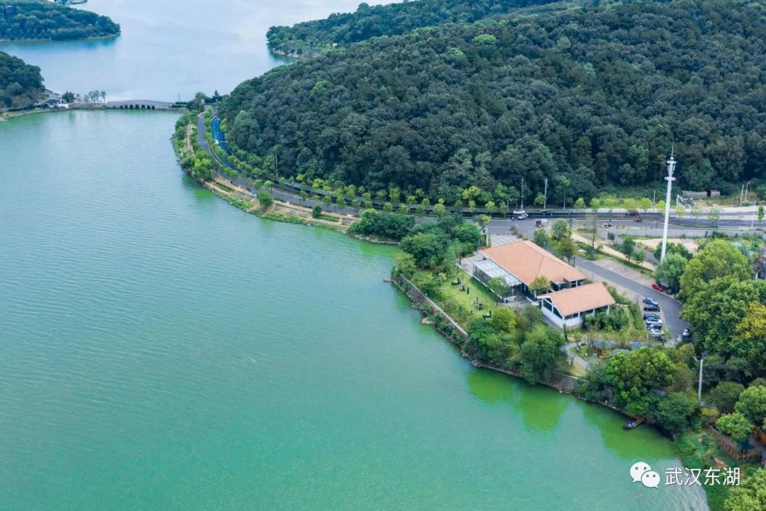 石台富硒茶如何泡制（石台富硒茶大概多少钱一斤）-硒宝网