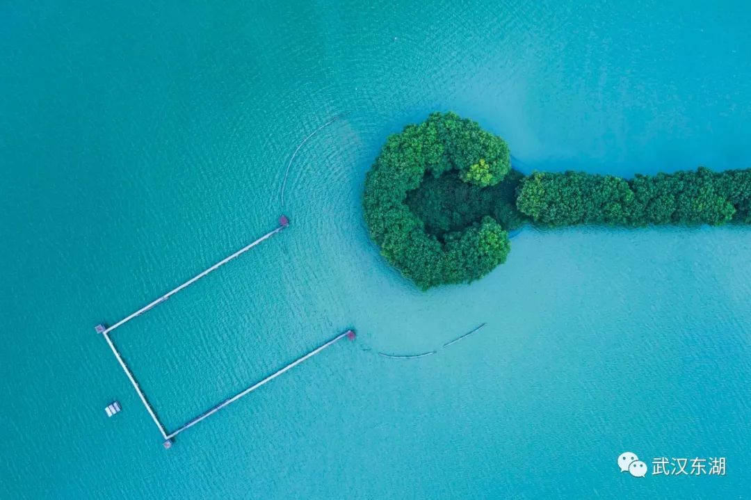 石台富硒茶如何泡制（石台富硒茶大概多少钱一斤）-硒宝网