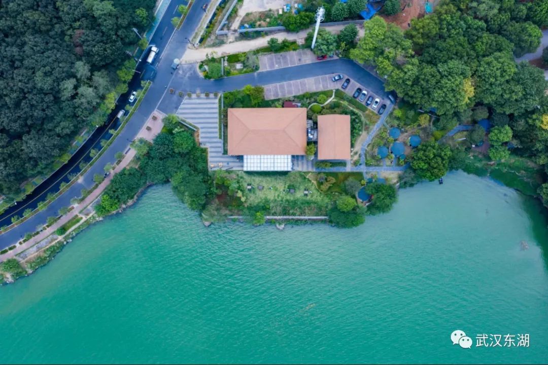 石台富硒茶如何泡制（石台富硒茶大概多少钱一斤）-硒宝网