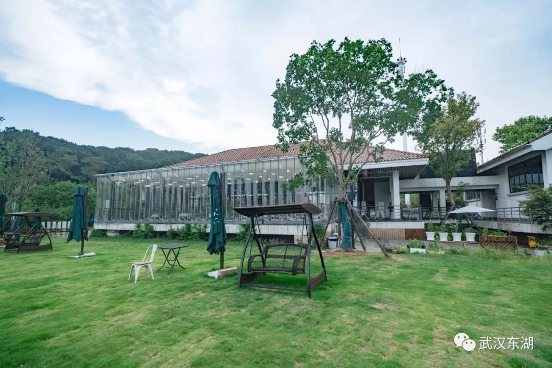 石台富硒茶如何泡制（石台富硒茶大概多少钱一斤）-硒宝网