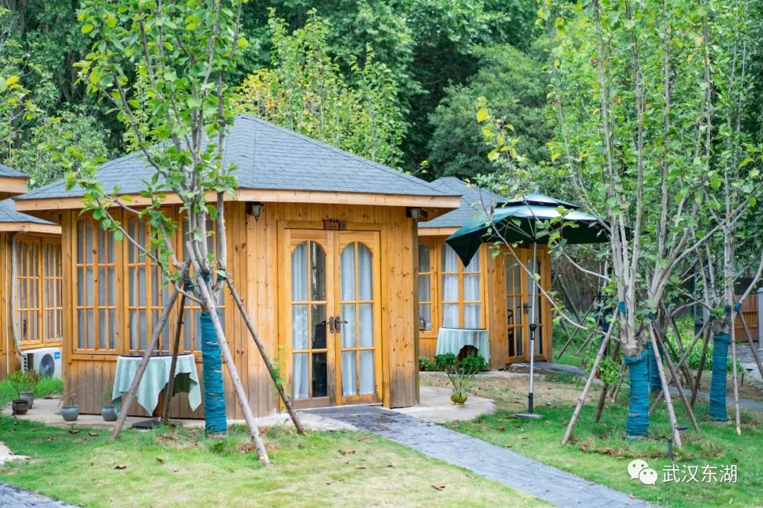 石台富硒茶如何泡制（石台富硒茶大概多少钱一斤）-硒宝网