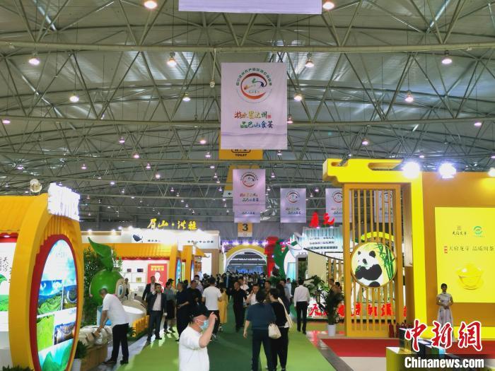 陇南的富硒茶是什么(富硒茶之乡)-硒宝网