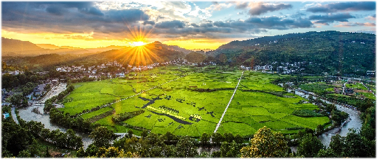 富硒茶生态产业基地（富硒茶园）-硒宝网