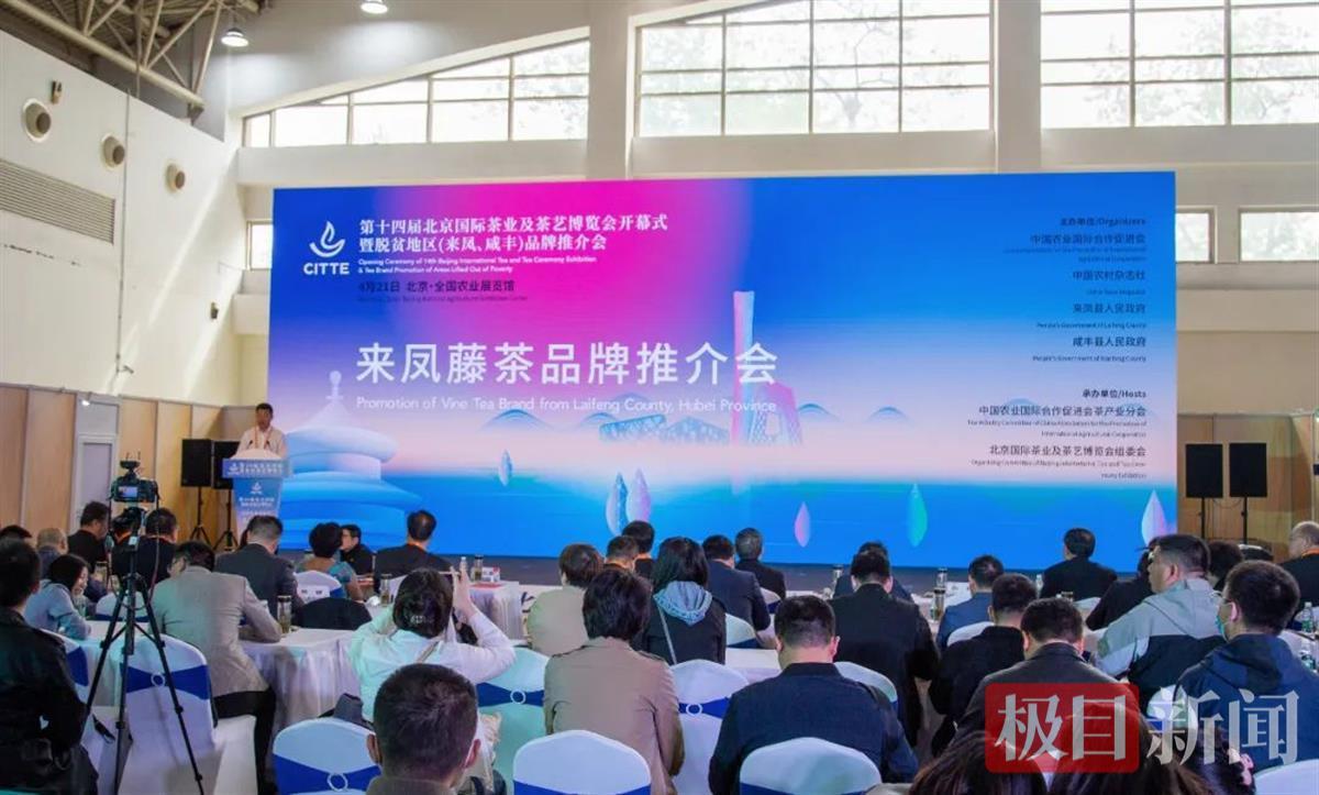 富硒藤茶怎样泡好喝(富硒藤茶的作用与效果)-硒宝网