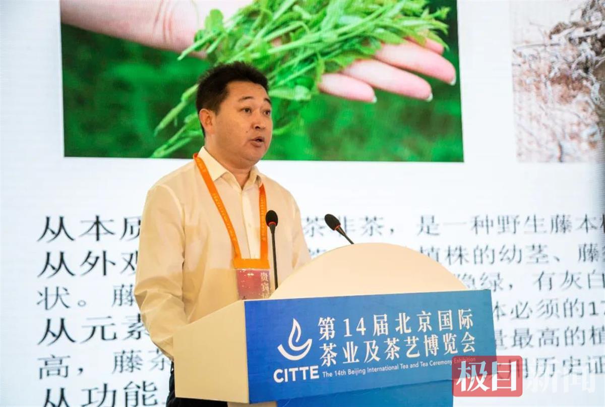 富硒藤茶怎样泡好喝(富硒藤茶的作用与效果)-硒宝网