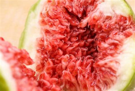 孕妇补铁吃什么好(孕妇吃好补铁的食物)-硒宝网