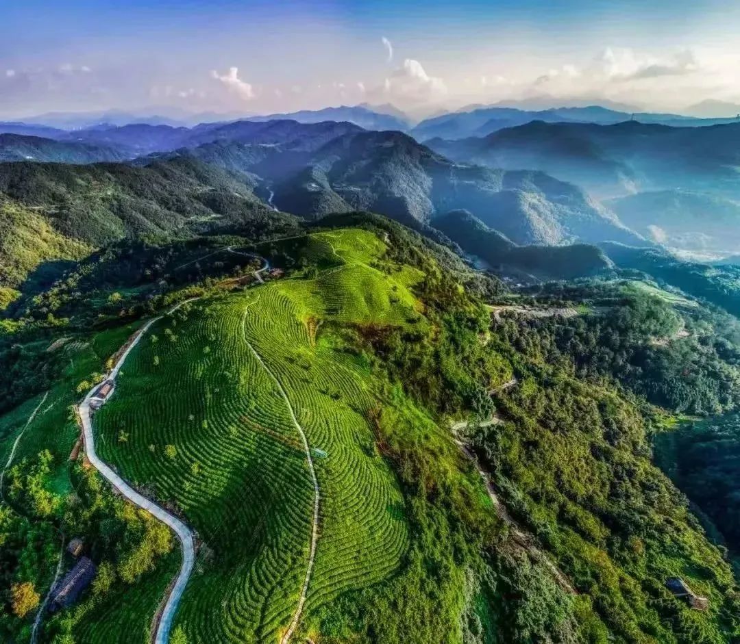 中国安康富硒茶图书(安康富硒茶logo)-硒宝网