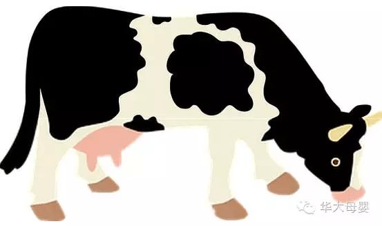 大人可以查微量元素吗(大人查微量元素可以下午查吗)-硒宝网