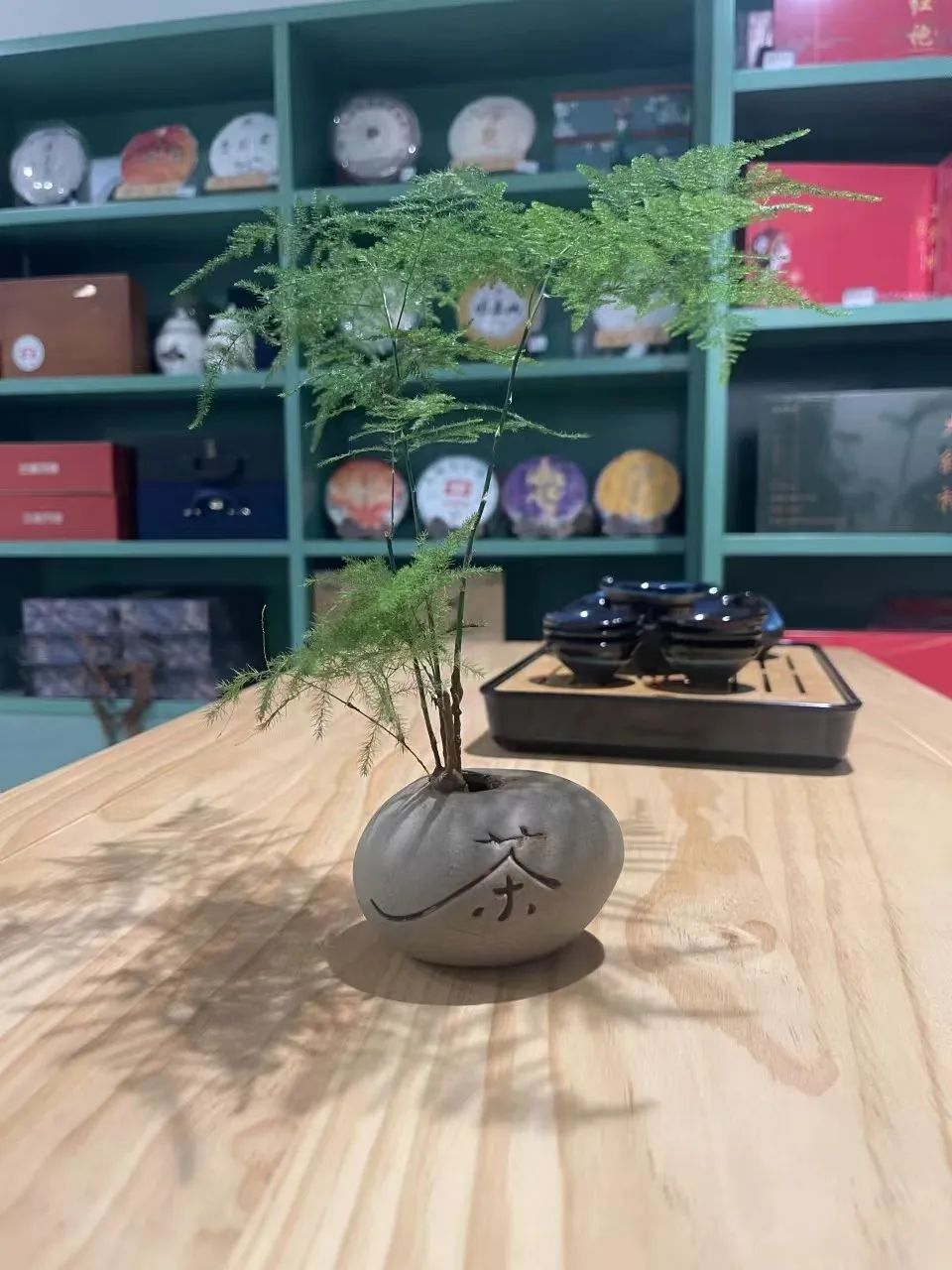 福建富硒普洱茶批发(福建普洱茶怎么样)-硒宝网