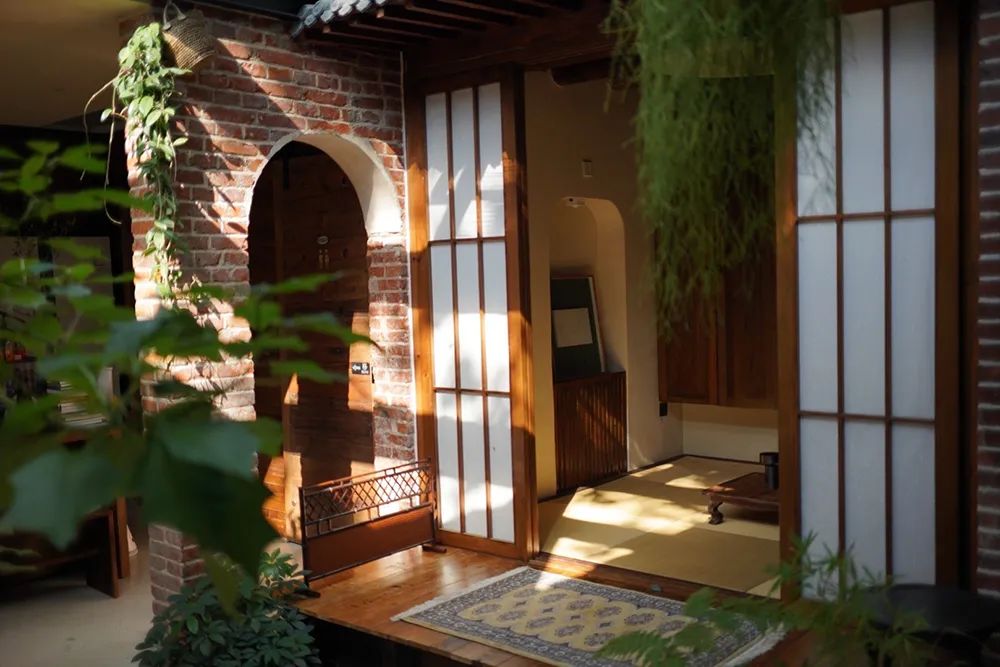 福建富硒普洱茶批发(福建普洱茶怎么样)-硒宝网