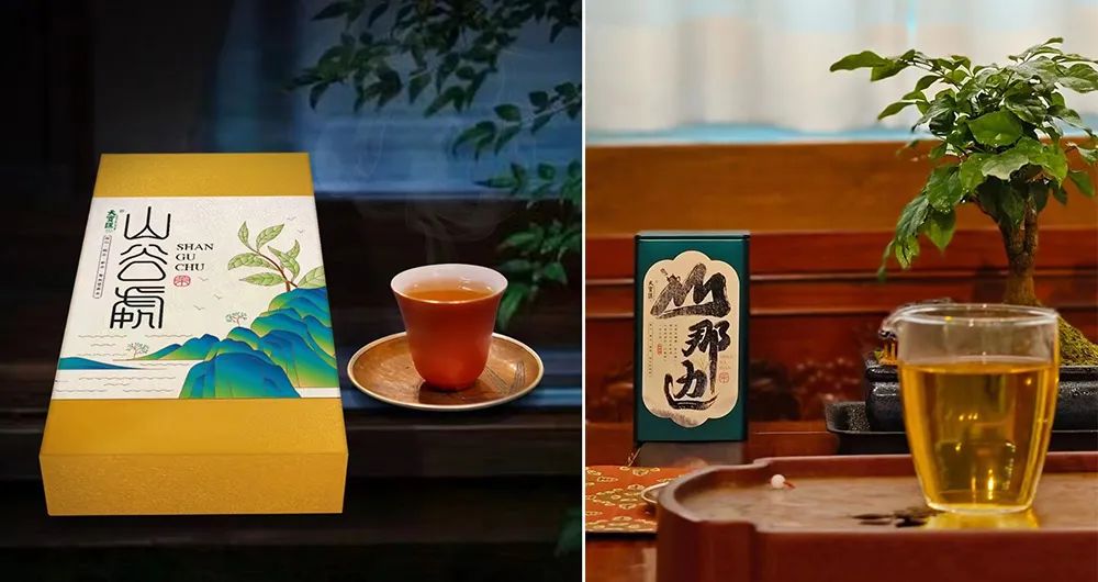 福建富硒普洱茶批发(福建普洱茶怎么样)-硒宝网