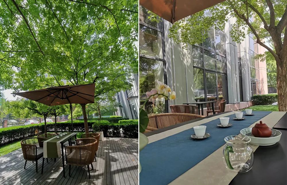 福建富硒普洱茶批发(福建普洱茶怎么样)-硒宝网