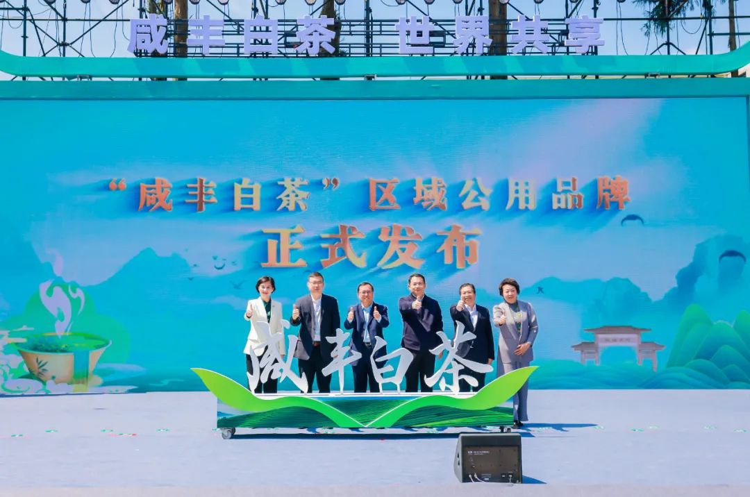 安徽富硒茶玉露地址(恩施富硒茶玉露)-硒宝网