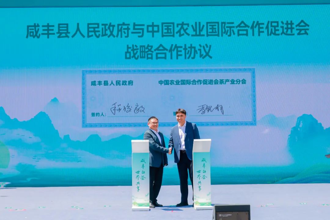 安徽富硒茶玉露地址(恩施富硒茶玉露)-硒宝网