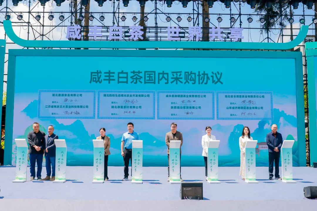 安徽富硒茶玉露地址(恩施富硒茶玉露)-硒宝网