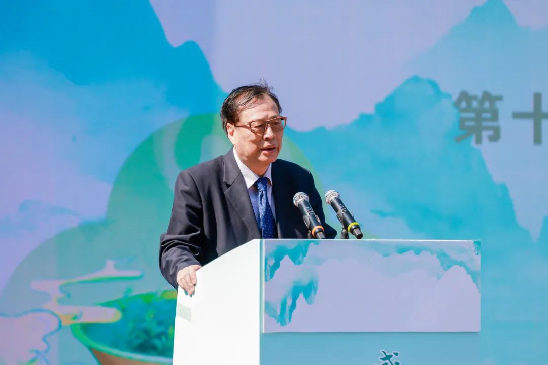 安徽富硒茶玉露地址(恩施富硒茶玉露)-硒宝网