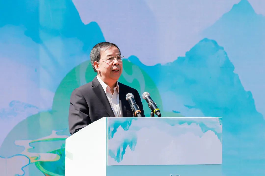 安徽富硒茶玉露地址(恩施富硒茶玉露)-硒宝网