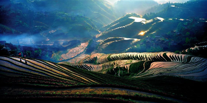 广西大藤峡 富硒茶(富硒藤茶产在哪里)-硒宝网