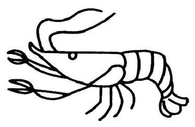 虾壳补钙（虾肉补钙还是虾壳补钙）-硒宝网