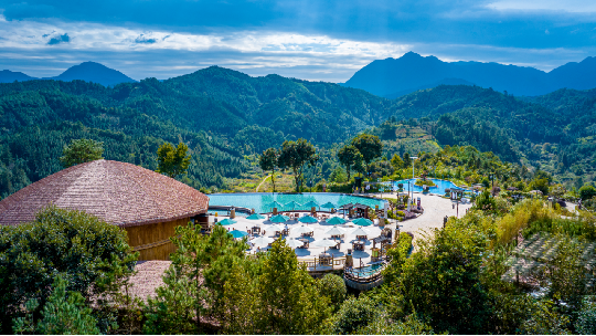 广西大藤峡 富硒茶（恩施富硒藤茶多少钱一斤）-硒宝网