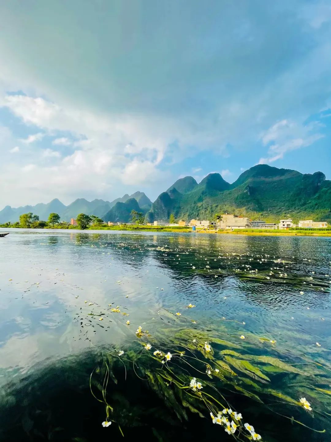 广西大藤峡 富硒茶（恩施富硒藤茶多少钱一斤）-硒宝网