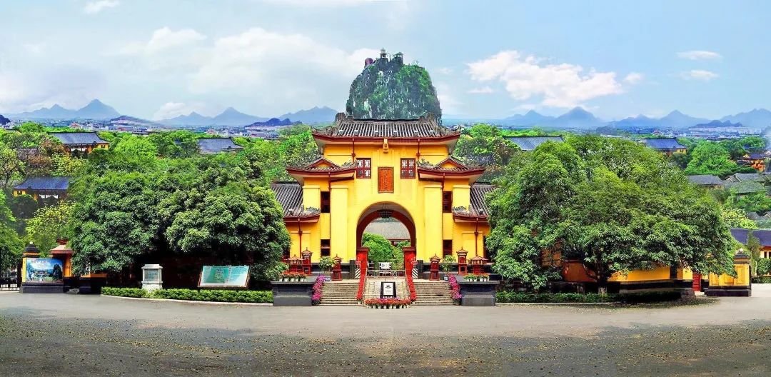 广西大藤峡 富硒茶（恩施富硒藤茶多少钱一斤）-硒宝网