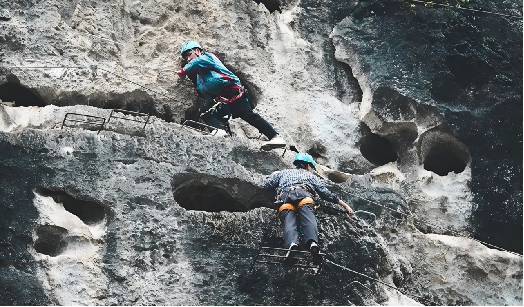 广西大藤峡 富硒茶（恩施富硒藤茶多少钱一斤）-硒宝网