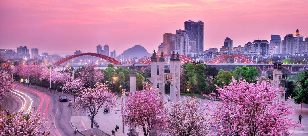 广西大藤峡 富硒茶（恩施富硒藤茶多少钱一斤）-硒宝网