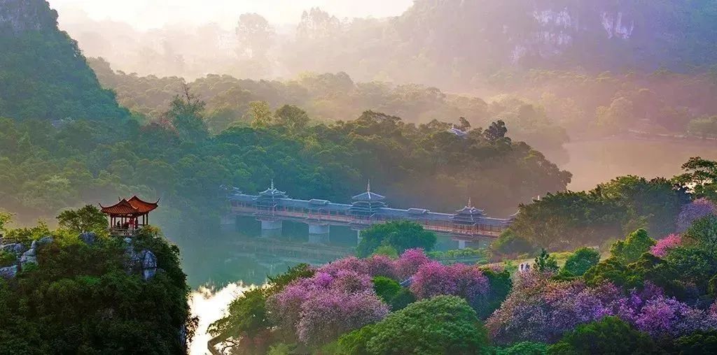 广西大藤峡 富硒茶（恩施富硒藤茶多少钱一斤）-硒宝网