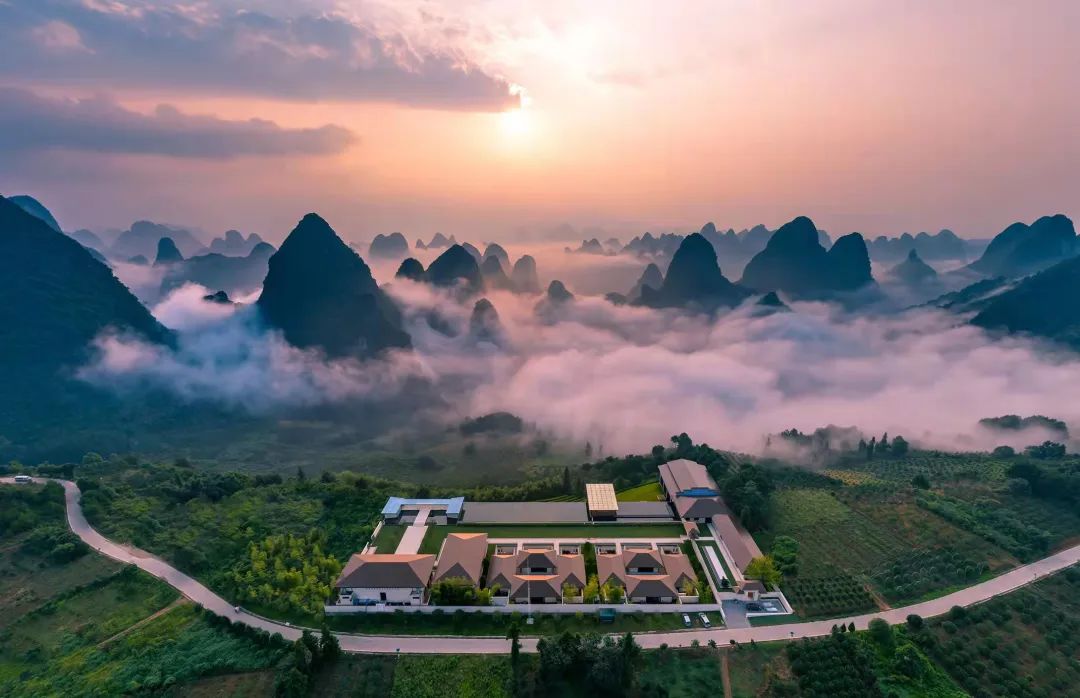 广西大藤峡 富硒茶（恩施富硒藤茶多少钱一斤）-硒宝网