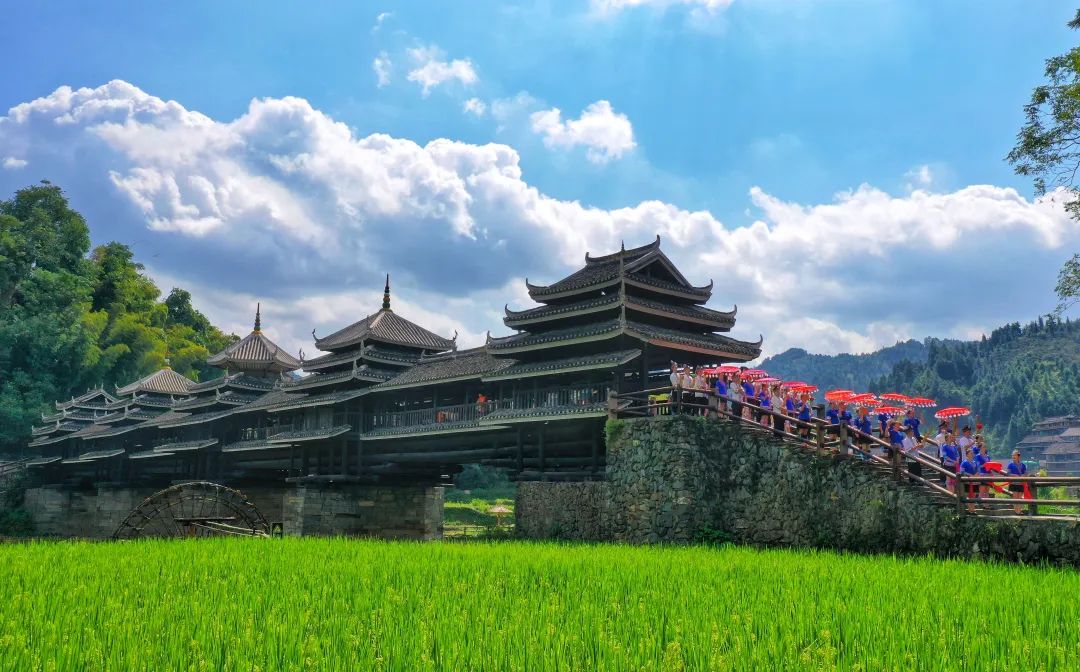 广西大藤峡 富硒茶（恩施富硒藤茶多少钱一斤）-硒宝网