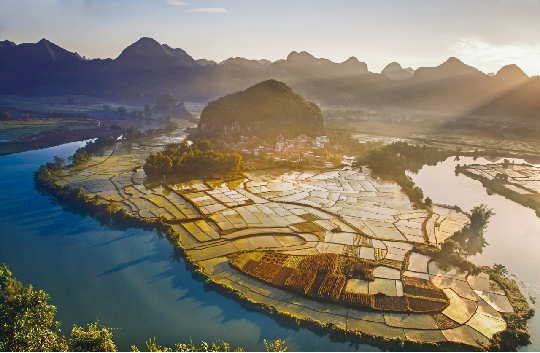 广西大藤峡 富硒茶（恩施富硒藤茶多少钱一斤）-硒宝网