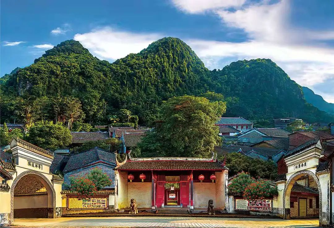 广西大藤峡 富硒茶（恩施富硒藤茶多少钱一斤）-硒宝网