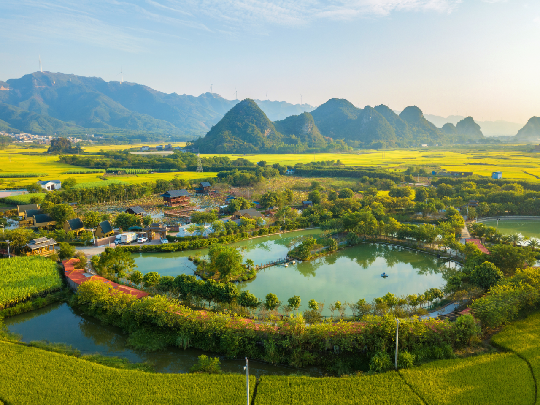 广西大藤峡 富硒茶（恩施富硒藤茶多少钱一斤）-硒宝网