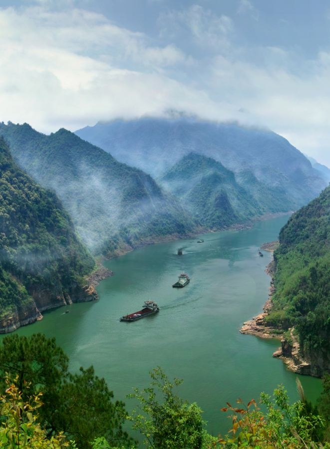 广西大藤峡 富硒茶（恩施富硒藤茶多少钱一斤）-硒宝网