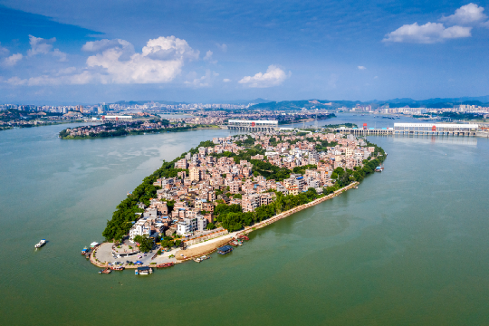 广西大藤峡 富硒茶（恩施富硒藤茶多少钱一斤）-硒宝网