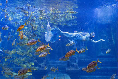 广西大藤峡 富硒茶（恩施富硒藤茶多少钱一斤）-硒宝网