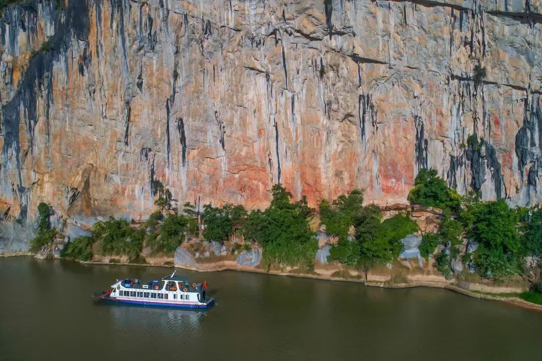 广西大藤峡 富硒茶（恩施富硒藤茶多少钱一斤）-硒宝网