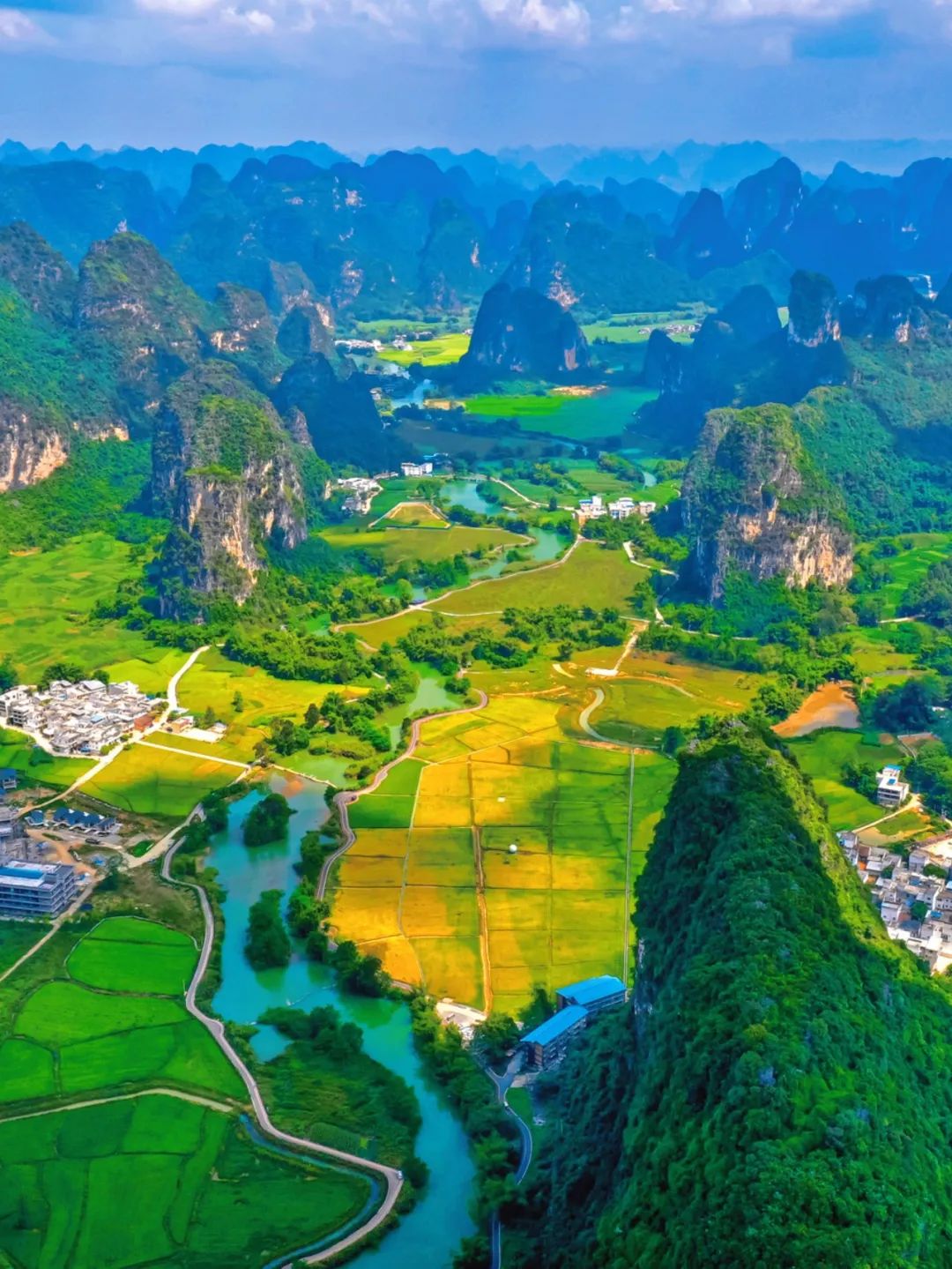 广西大藤峡 富硒茶（恩施富硒藤茶多少钱一斤）-硒宝网