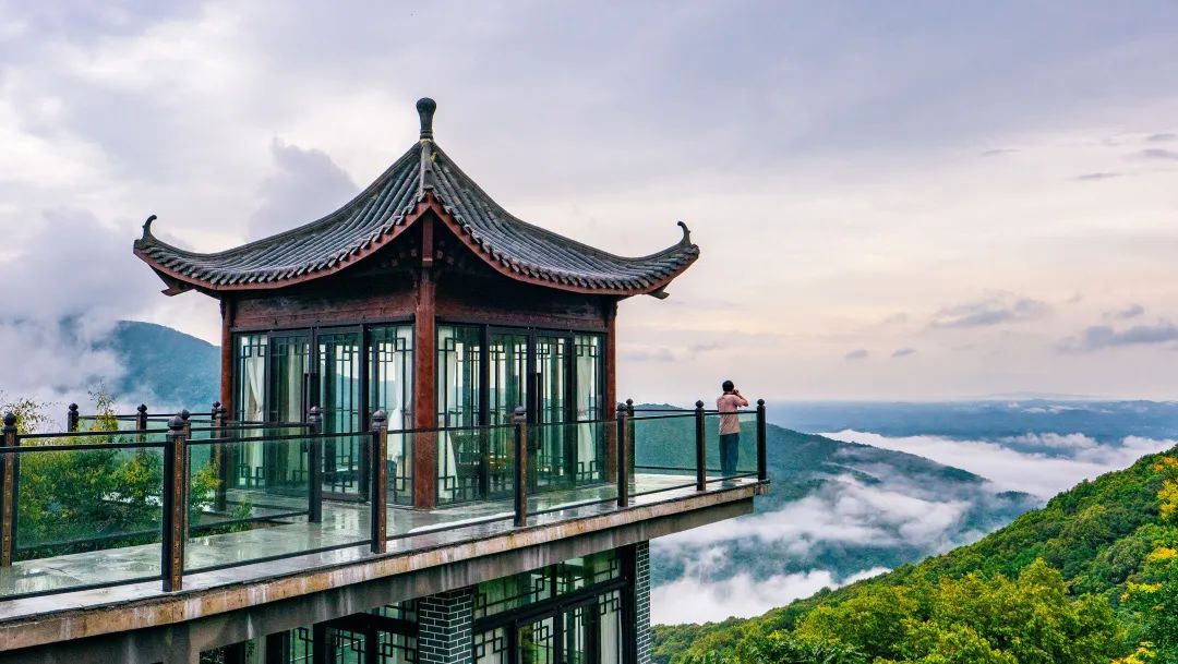 广西大藤峡 富硒茶（恩施富硒藤茶多少钱一斤）-硒宝网