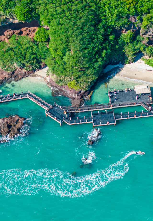 广西大藤峡 富硒茶（恩施富硒藤茶多少钱一斤）-硒宝网